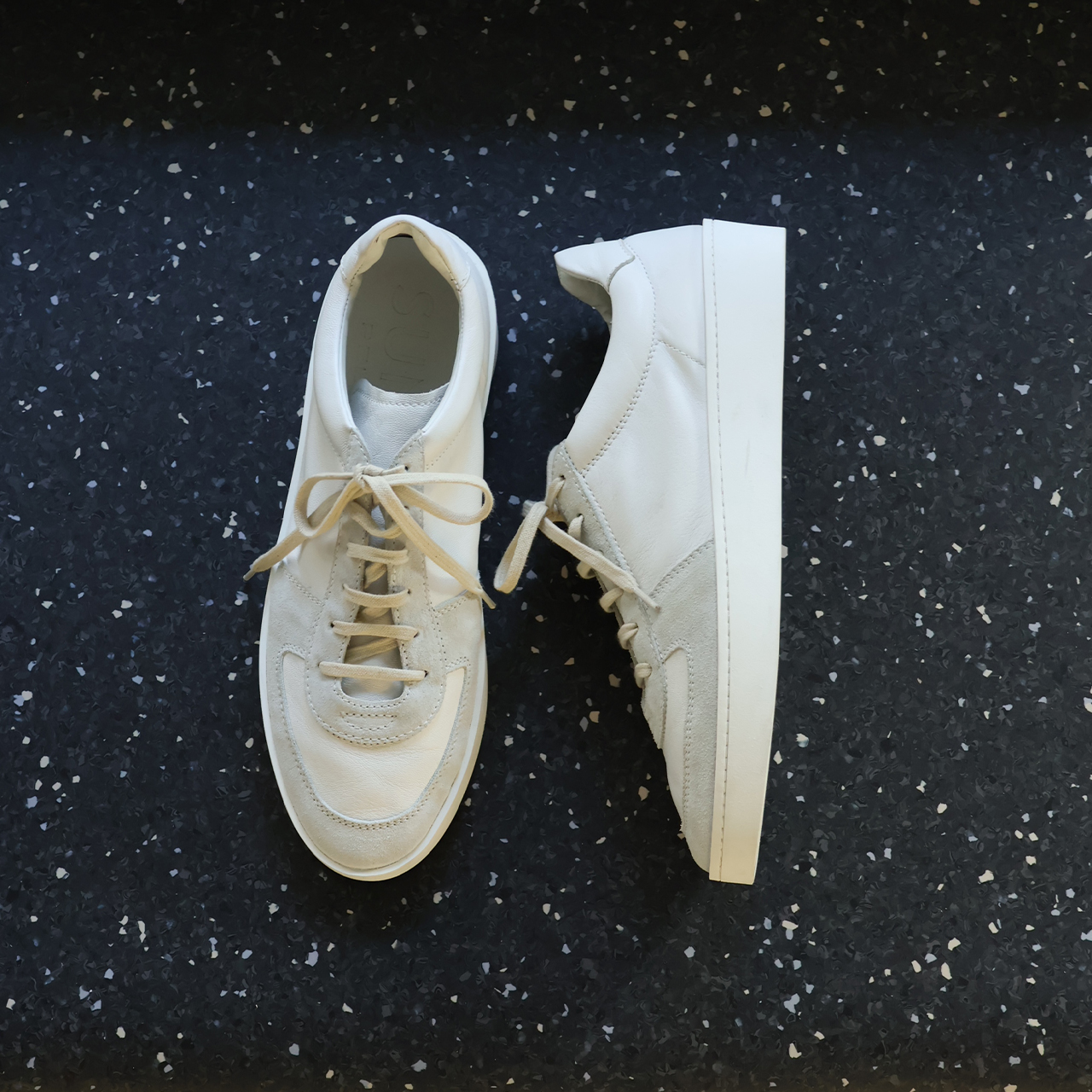 TRAVIS | PELLICO SUNNY